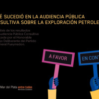 Informe Audiencia Publica Consultiva.pdf
