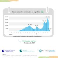 casos Argentina.png