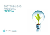 Segundo Informe Energia.pdf