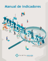 6. Manual-Metodológico-de-Indicadores_v1_febrero 2025.pdf